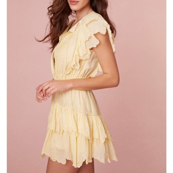 LOVESHACKFANCY Darryl Flutter Sleeve Butter Yellow Ruffled Mini Dress - Picture 8 of 16